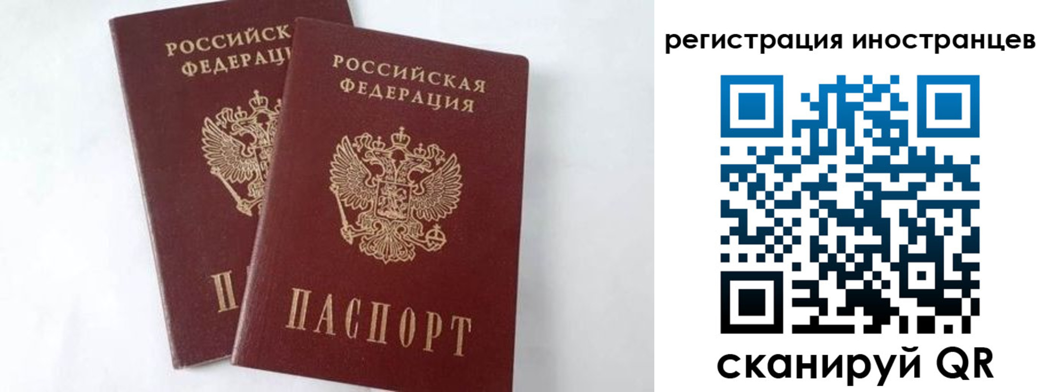 регистрация для школы в Тверской области